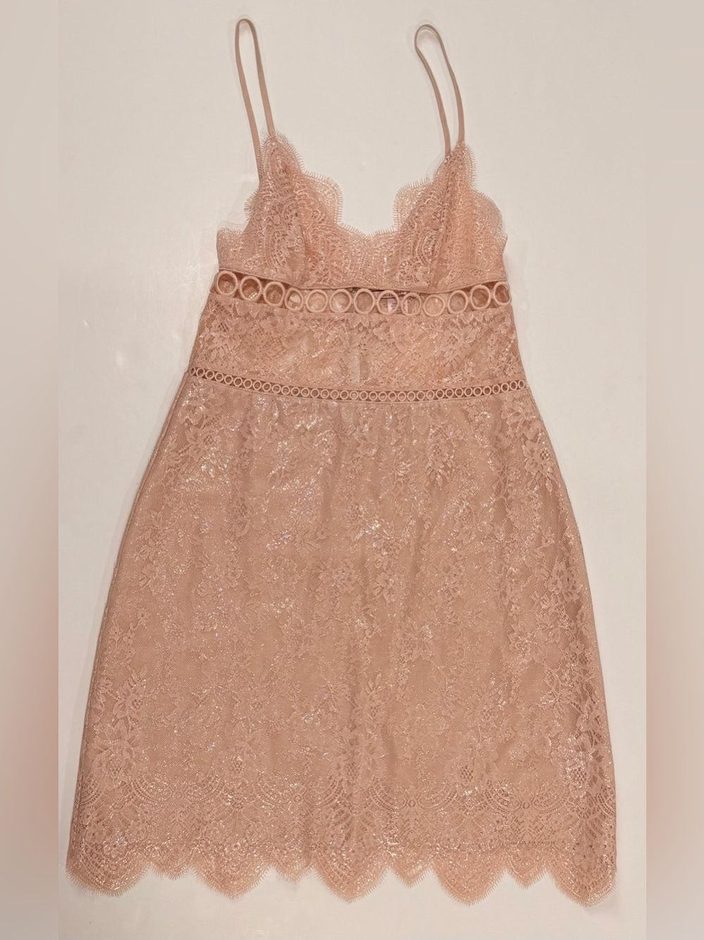 Victoria's Secret Blush Pink Floral Lace Slip Dress XS